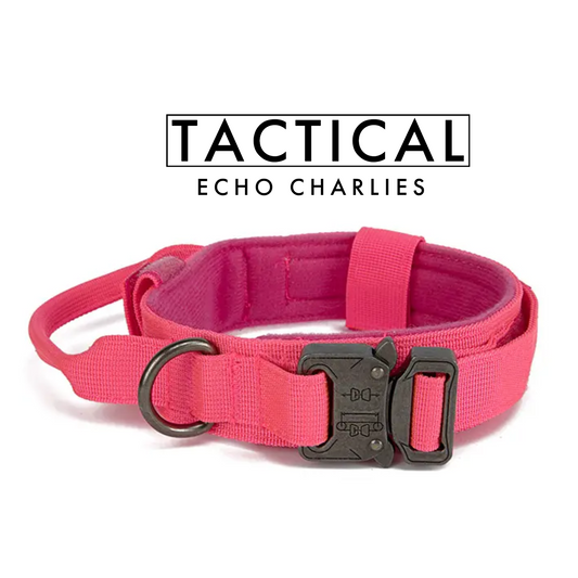 EC TACTICAL Dog Collar